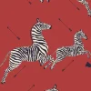 Zebras Wallpaper in Red